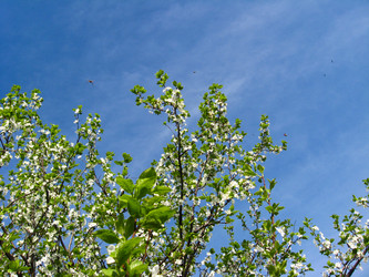 Similar image 1761440