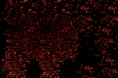 Similar image 1761448