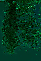 Similar image 1761455