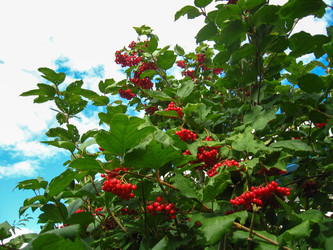 Similar image 1761461