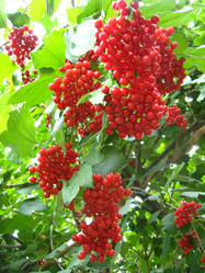 Similar image 1761464