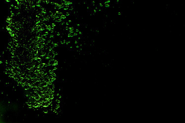 Similar image 1761494