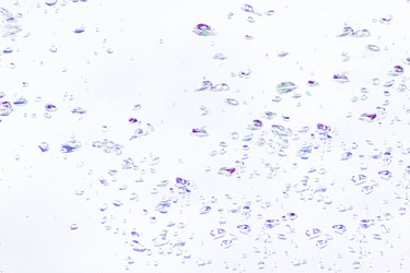 Similar image 1761513