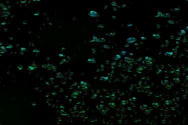 Similar image 1761516