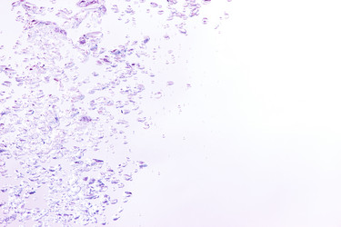 Similar image 1761521