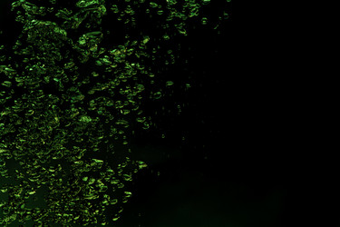 Similar image 1761524