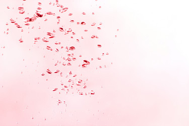 Similar image 1761525