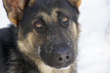 Similar image 1761767