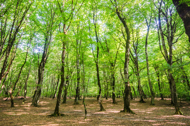 Similar image 1762739