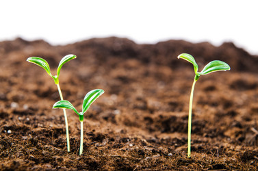 Similar image 1762806