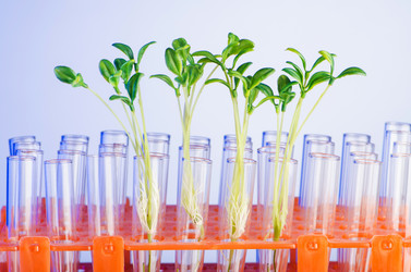 Similar image 1762967