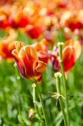 Similar image 1763215