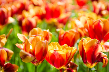 Similar image 1763239