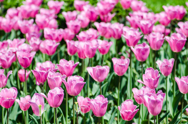 Similar image 1763254