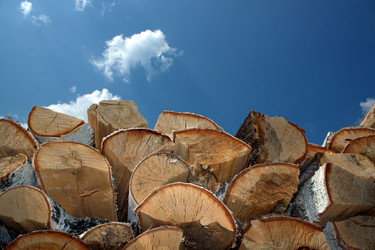 Similar image 1763492