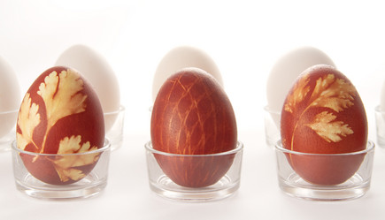 Similar image 1763509