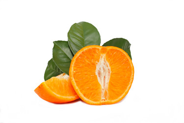 Similar image 1763537