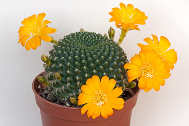 Similar image 1763539