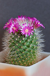 Similar image 1763540