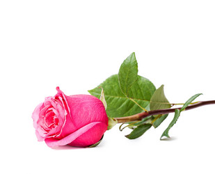 Similar image 1763600