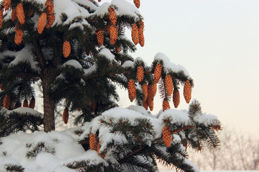 Similar image 1763616