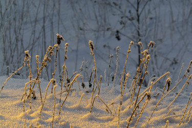 Similar image 1763676