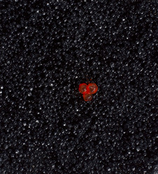 Similar image 1763730