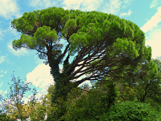 Similar image 1763789