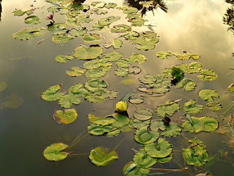 Similar image 1763791