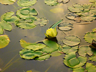 Similar image 1763792