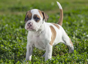 Similar image 1763960