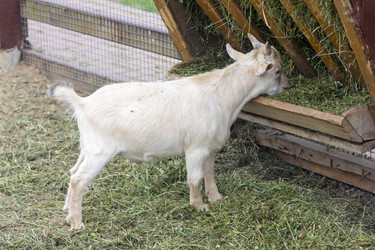 Similar image 1763963