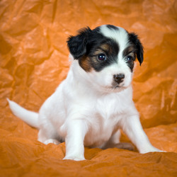 Similar image 1763968