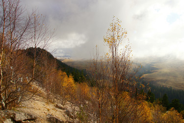 Similar image 1764057