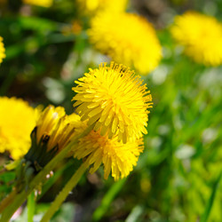 Similar image 1764120