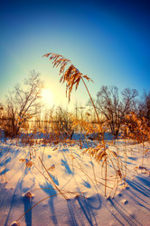 Similar image 1764156