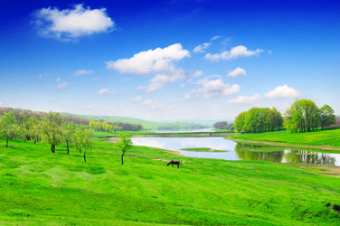 Similar image 1764161