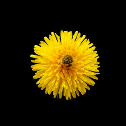 Similar image 1764162