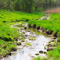 Similar image 1764163