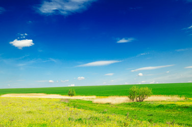 Similar image 1764167