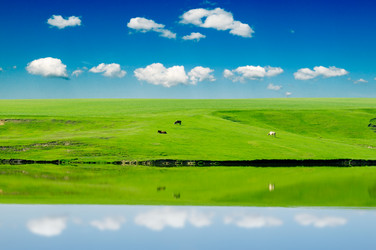 Similar image 1764169