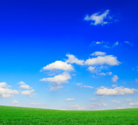 Similar image 1764170