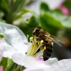 Similar image 1764171