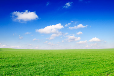 Similar image 1764174