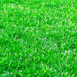 Similar image 1764177