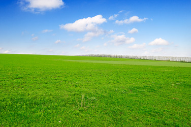 Similar image 1764193