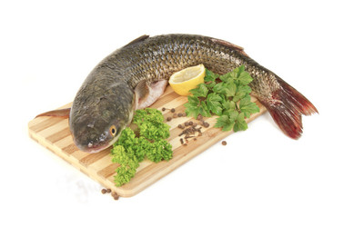 Similar image 1764199