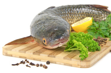 Similar image 1764200