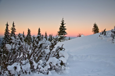 Similar image 1764219