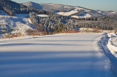 Similar image 1764220